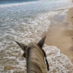 Meet your Posher, Stacey